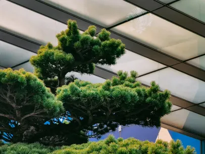 ArcaneBet Casino App Mobile